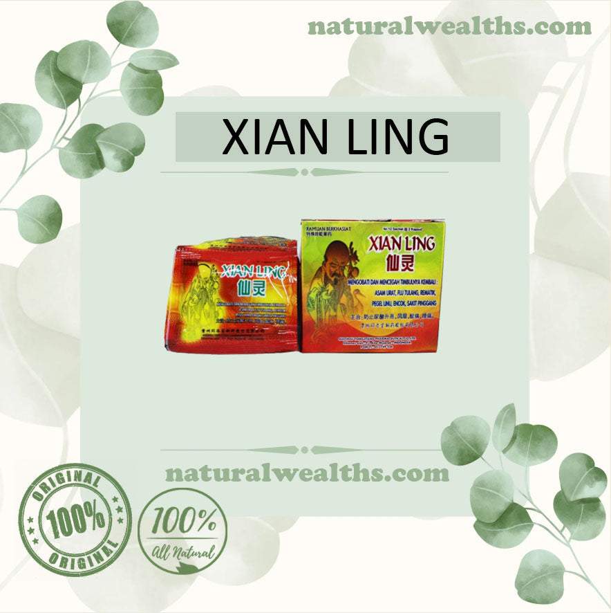 Xian Ling Capsule Original Herbal For Sciatica, Gout, Rheumatism FREE ...